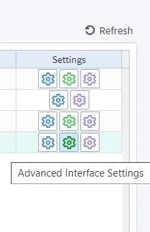 Advanced Interface Settings option