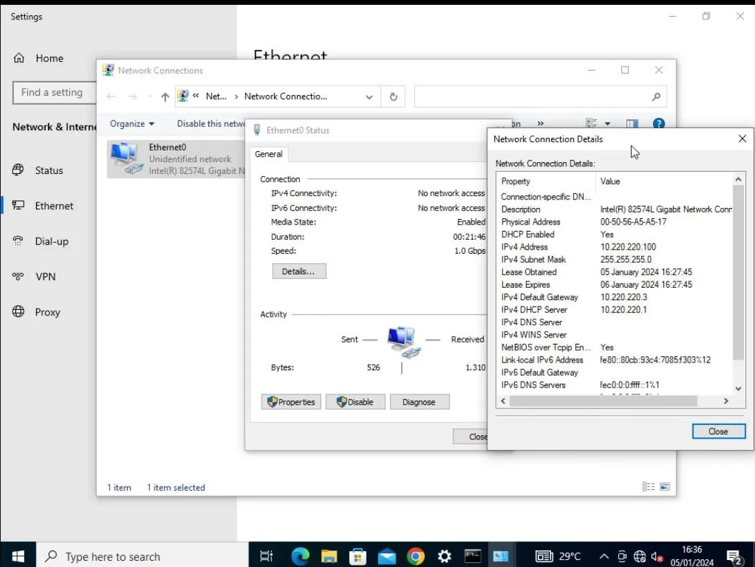 Verify DHCP Client on Bluemax NGFW