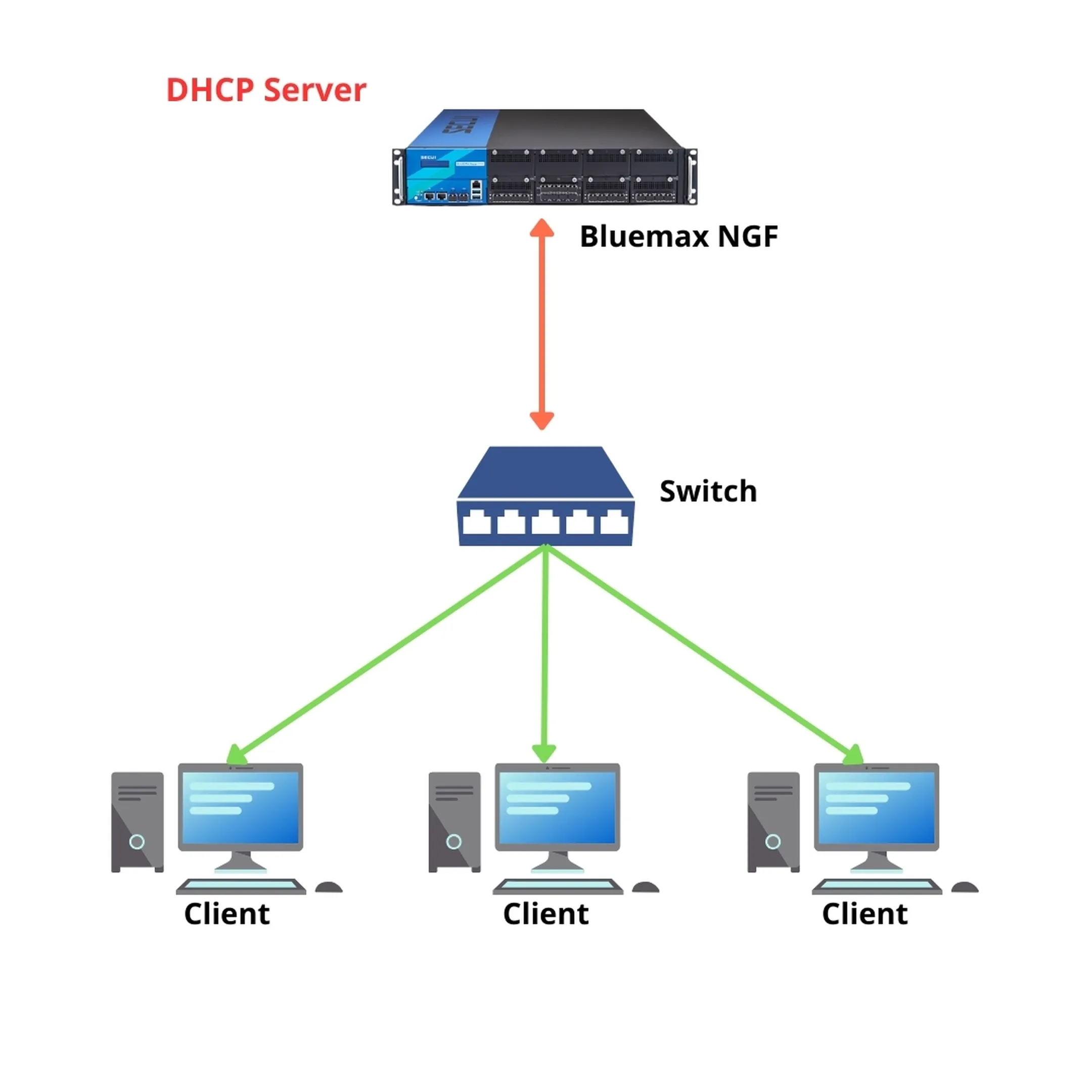 DHCP Server Topology